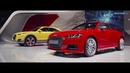 ММАС 2014 – Audi TT