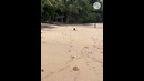 When God Sent You A Reckless Dog