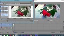 Sony Vegas как улучшить видео (резкость, насыщенно