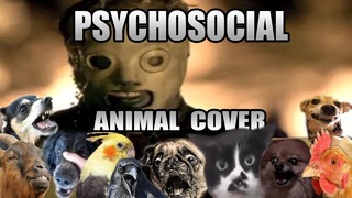 Slipknot – Psychosocial (Animal Cover)