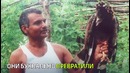 Семья из Индии превратила свой дом в питомник для диких зверей