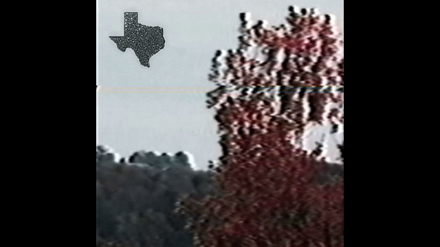 CAMOMANE – THE DECAY