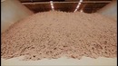 Кирпич. Современное производство глиняного кирпича