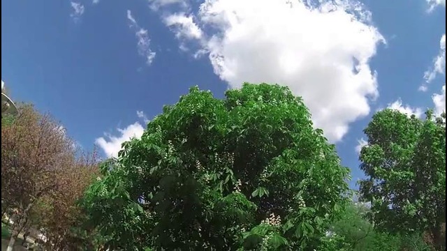 Проверка Steadicamа, прогулка по центру