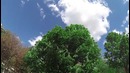 Проверка Steadicamа, прогулка по центру