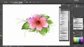 Adobe Illustrator – Flowers – Watercolor Drawing Tutorial