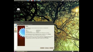 Установка Virtualbox под Ubuntu 10.04 – Обучение