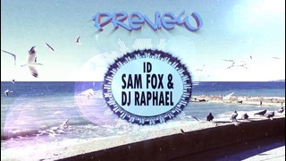 Sam Fox & DJ RAPHAEL – ID (Preview)