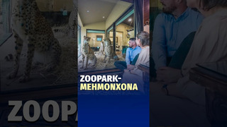 Zoopark-mehmonxona