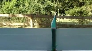 Собака и настольный теннис