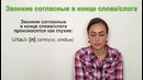 Урок №5: Общие фонетические правила | НЕМЕЦКИЙ ЯЗЫК ИЗ ГЕРМАНИИ