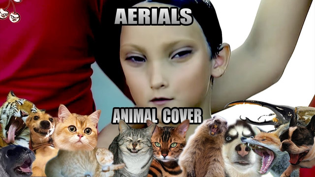 System Of A Down – Aerials (Animal Cover)