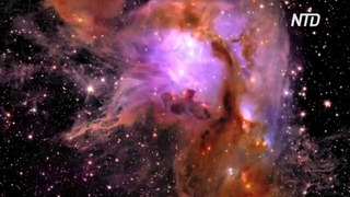 Новые снимки телескопа «Евклид»: небывалая точность изображения галактик и звёзд