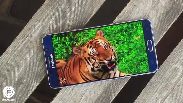 Samsung Galaxy Note 5 – подробный обзор от FERUMM.com