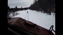 Лось попал под поезд