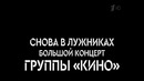 Концерт группы «КИНО». «Снова в Лужниках». (14.08.2026)