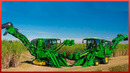 Sugarcane Harvesting and Manufacturing to Produce TONS of SUGAR Every Day