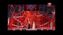 Любовные истории – СКАЖИ, ЗАЧЕМ