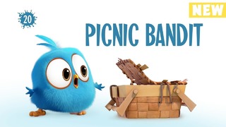 Angry Birds Blues – Бандит пикника s01e20