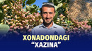 Pistadan daromad topayotgan toshloqliq bog‘bon