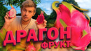 Ты должен съесть это – «Драконий Плод»