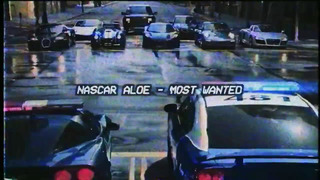 Nascar Aloe – Most Wanted