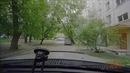 Неудачное ограбление автомобиля