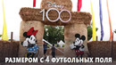 Гигантский лабиринт в честь 100-летия компании Disney создал фермер в Германии
