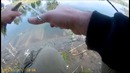 Прогулка с ультралайтом