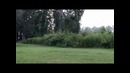 Мраморные Шершни(Запись №12)