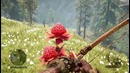 Shimoro – Прохождение Far Cry Primal – Приручение Волка! #2