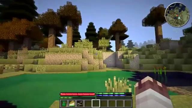 Гайд для мода TerraFirmaCraft №4 – Скотный двор