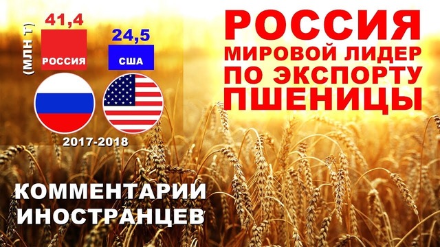Россия мировой лидер по экспорту пшеницы – комментарии иностранцев