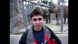Me at the zoo – YouTube(самое первое видео на youtube.com)