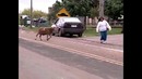 Баран 1х1 с любым