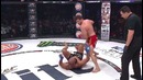 Bellator 172: Емельяненко vs Митрион