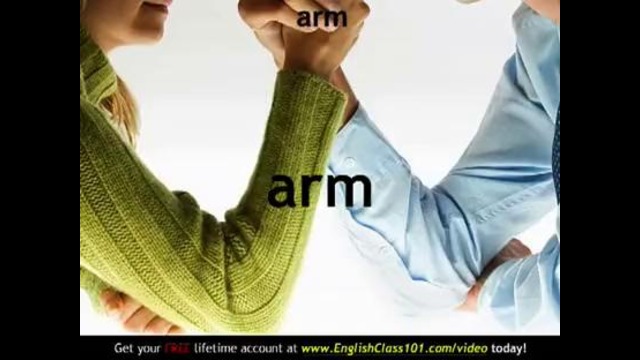 Learn English – English Body Parts Vocabulary