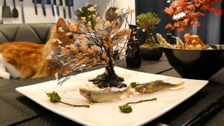 Дерево Сакуры Темпура – Jun’s kitchen