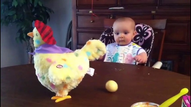 Малыш в шоке от игрушечной курицы