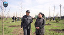 Toshkent shahrida «Yashil makon» aksiyasiga start berildi