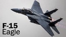 F-15 Eagle – американская хищная птица