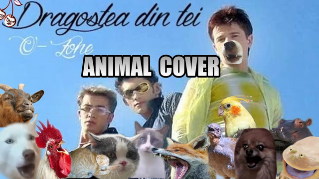 O-Zone – Dragostea Din Tei (Animal Cover)