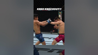 BRUTAL MMA Knee Knockout