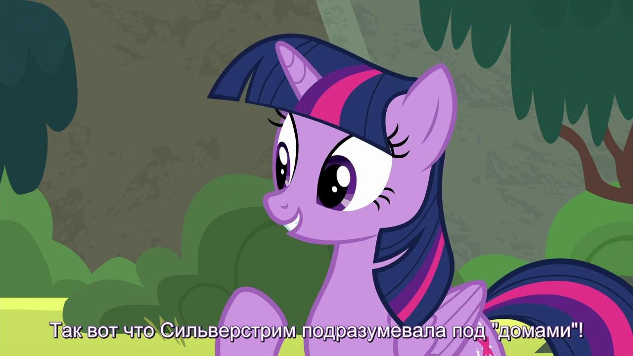 My Little Pony: 8 Сезон | 6 Серия – «Surf and/or Turf»