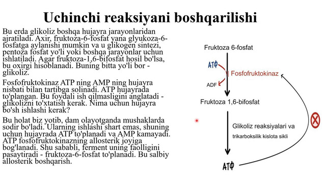 Glyukozaning aerob va anaerob oksidlanishi