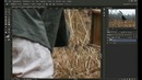 Photoshop Tutorial (a man in the forest)