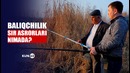 Baliqchilikdagi muammolar va sohaga nazar