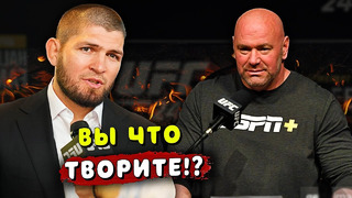Хабиб высказался про то, что Ислам Махачев остался без боя в UFC / Звуки ММА