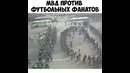 МВД против Фанов