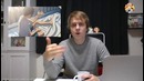 Запрет Аниме в России. Влияние Аниме на психику